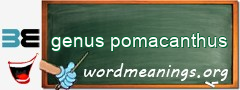 WordMeaning blackboard for genus pomacanthus